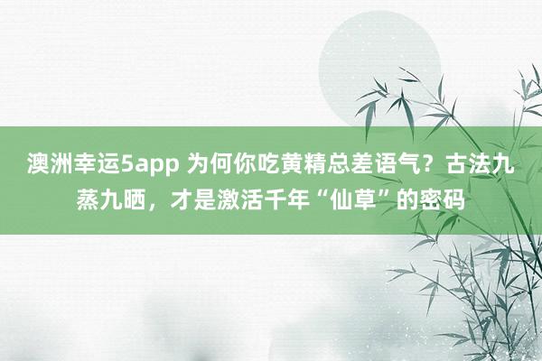 澳洲幸运5app 为何你吃黄精总差语气？古法九蒸九晒，才是激活千年“仙草”的密码